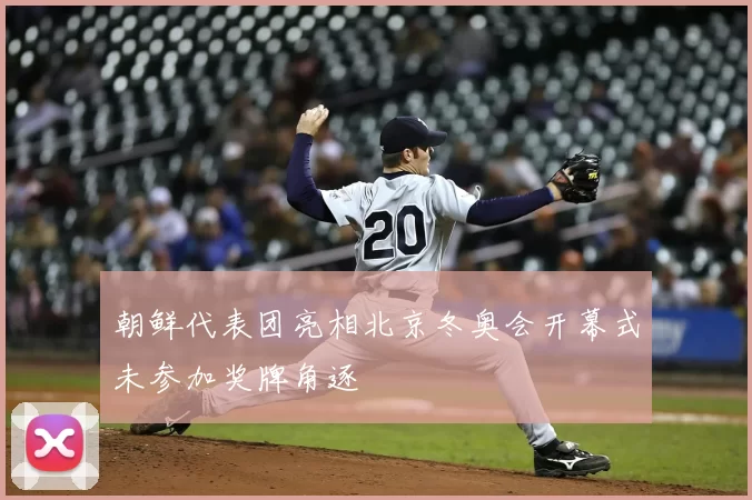 朝鲜代表团亮相北京冬奥会开幕式未参加奖牌角逐