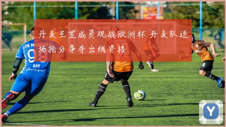 丹麦王室成员观战欧洲杯 丹麦队连场抢分争夺出线资格
