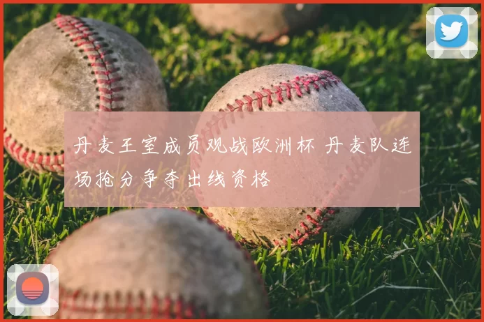 丹麦王室成员观战欧洲杯 丹麦队连场抢分争夺出线资格
