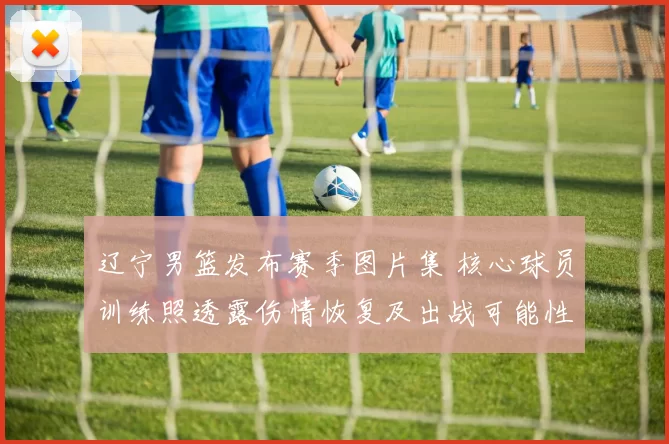 辽宁男篮发布赛季图片集 核心球员训练照透露伤情恢复及出战可能性