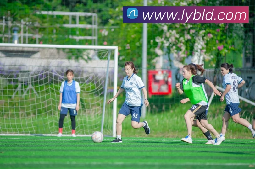 App Interface Preview